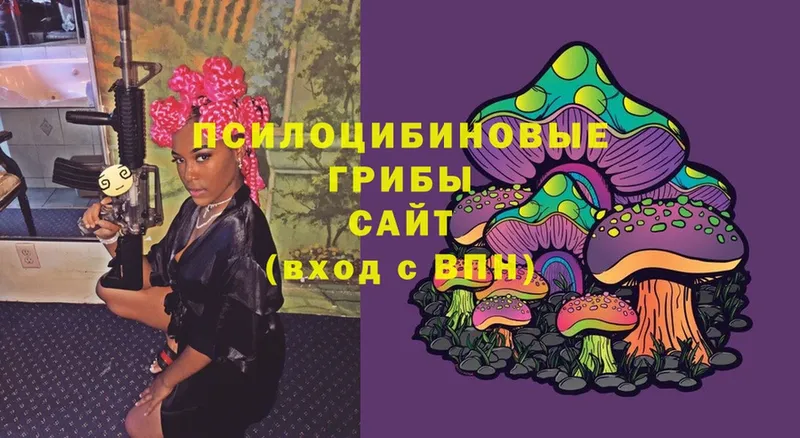 цены   Алексеевка  Псилоцибиновые грибы Magic Shrooms 